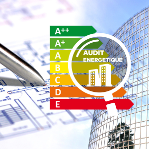 AUDITS